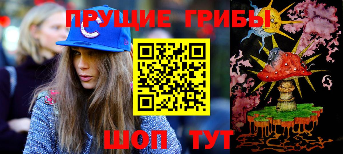 Псилоцибиновые грибы Psilocybe Обь