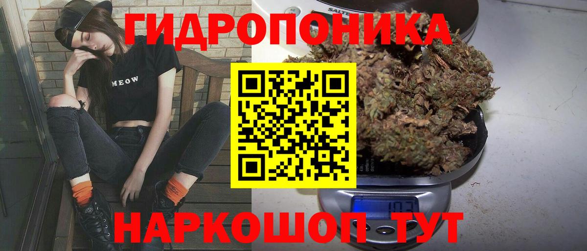 Марихуана OG Kush Обь